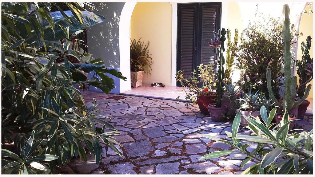 B&B La Salamandra Kitchengarden Forio di Ischia Exterior foto