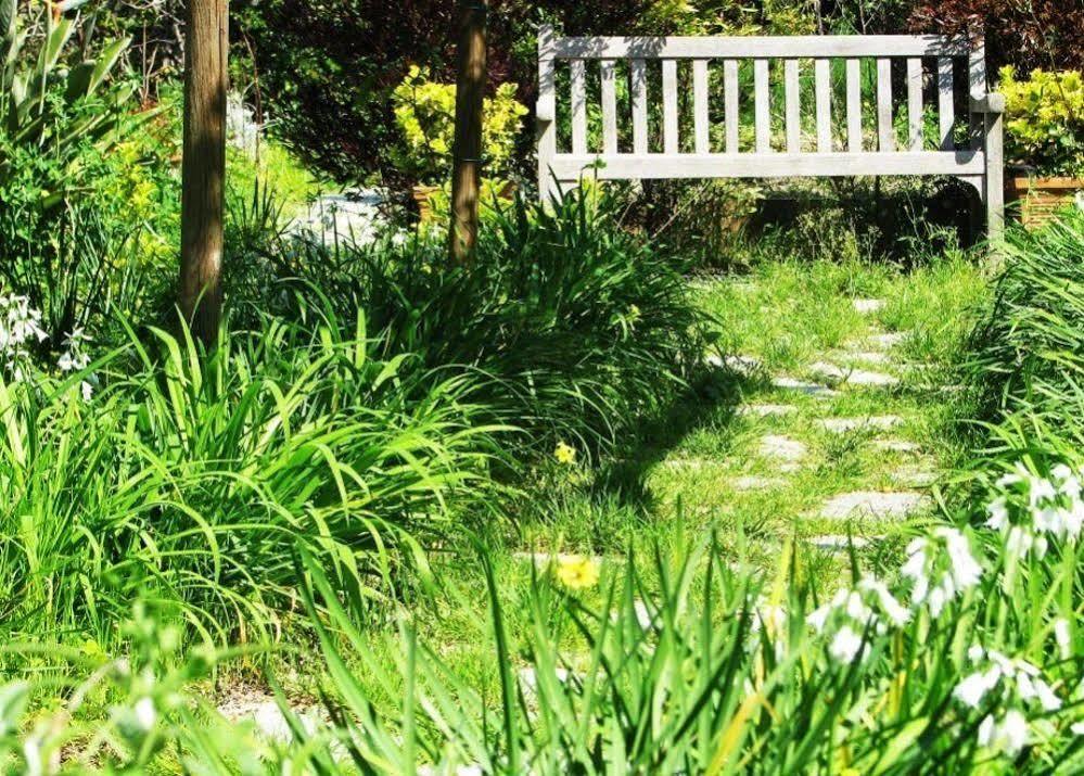 B&B La Salamandra Kitchengarden Forio di Ischia Exterior foto